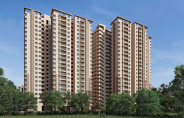 Koncept Ambience Park View 3 BHK Apartment in Gachibowli, Hyderabad